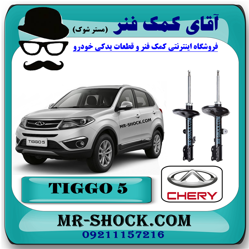 TIGOO 5 CHINA=2905010-20-51 کمک فنر جلو چری تیگو 5 (گازی) برند وارداتی ساخت چین با بهترین قیمت در فروشگاه آقای کمک فنر (مستر شوک) مرکز فروش تخصصی کمک فنر KYB و قطعات یدکی خودرو