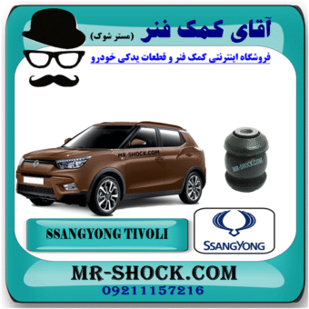 بوش طبق کوچک سانگ یانگ تیوولی 2015-2018 برند اصلی سانگ یانگ موتور با بهترین قیمت در فروشگاه آقای کمک فنر (مستر شوک) مرکز فروش کمک فنر KYB و قطعات یدکی خودرو
