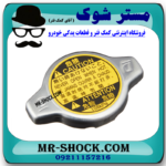 درب رادیاتور لکسوس ES350 برند اصلی تویوتا جنیون با بهترین قیمت در فروشگاه مستر شوک (آقای کمک فنر) مرکز فروش کمک فنر KYB و قطعات یدکی خودرو