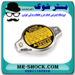 درب رادیاتور آب تویوتا هایلوکس 2012-2015 برند اصلی تویوتا جنیون با بهترین قیمت در فروشگاه آقای کمک فنر (مستر شوک) مرکز فروش کمک فنر KYB و قطعات یدکی خودرو