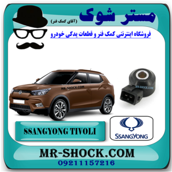 سنسور ناک سانگ یانگ تیوولی برند اصلی سانگ یانگ موتور با بهترین قیمت در فروشگاه مستر شوک (آقای کمک فنر) مرکز فروش کمک فنر KYB و قطعات یدکی خودرو