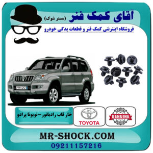 یک بسته (10 عددی) خار قاب بالای رادیاتور تویوتا پرادو 2005-2009 برند اصلی تویوتا جنیون با بهترین قیمت در فروشگاه آقای کمک فنر (مستر شوک) مرکز فروش تخصصی کمک فنر KYB و قطعات یدکی خودرو