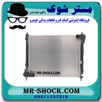 رادیاتور آب نیسان جوک برند ساخت چین با بهترین قیمت در فروشگاه مستر شوک (آقای کمک فنر) مرکز فروش کمک فنر KYB و قطعات یدکی خودرو