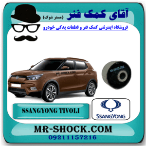 بوش طبق بزرگ سانگ یانگ تیوولی 2015-2018 برند اصلی جنیون پارتس با بهترین قیمت در فروشگاه آقای کمک فنر (مستر شوک) مرکز فروش کمک فنر KYB و قطعات یدکی خودرو
