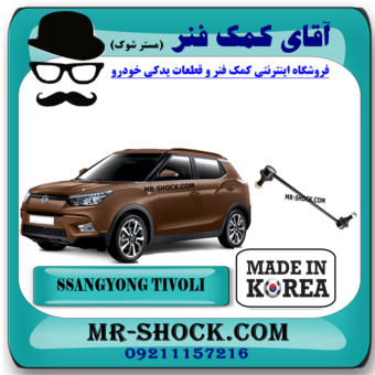 میل موجگیر جلو سانگ یانگ تیوولی 2015-2018 برند ساخت کره جنوبی با بهترین قیمت در فروشگاه آقای کمک فنر (مستر شوک) مرکز فروش کمک فنر KYB و قطعات یدکی خودرو