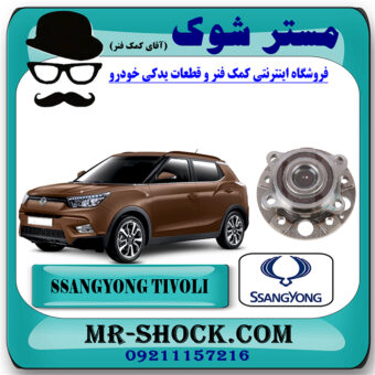 توپی بلبرینگ چرخ عقب سانگ یانگ تیوولی برند اصلی سانگ یانگ موتور با بهترین قیمت در فروشگاه مستر شوک (آقای کمک فنر) مرکز فروش کمک فنر KYB و قطعات یدکی خودرو