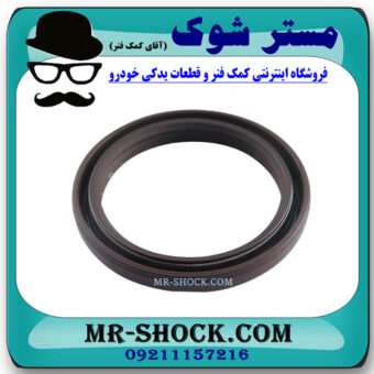 کاسه نمد سر میل لنگ نیسان قشقایی 2009-2012 برند اصلی نیسان موتور با بهترین قیمت در فروشگاه مستر شوک (آقای کمک فنر) مرکز فروش کمک فنر KYB و قطعات یدکی خودرو
