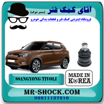 سیبک طبق سانگ یانگ تیوولی برند تجاری ساخت کره جنوبی با بهترین قیمت در فروشگاه مستر شوک (آقای کمک فنر) مرکز فروش قطعات یدکی خودرو